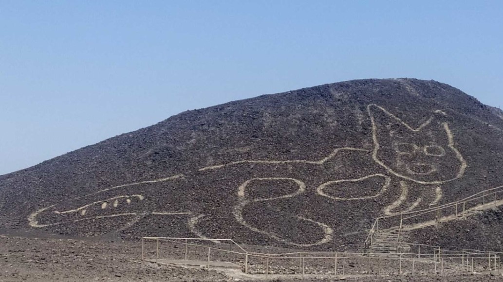 Géoglyphe du Chat а̀ Nazca, Pérou (Crédit : Ministère de la Culture du Pérou)