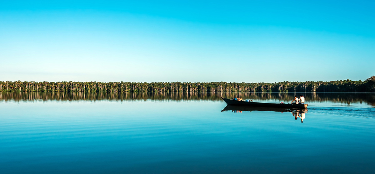 L'Amazonie