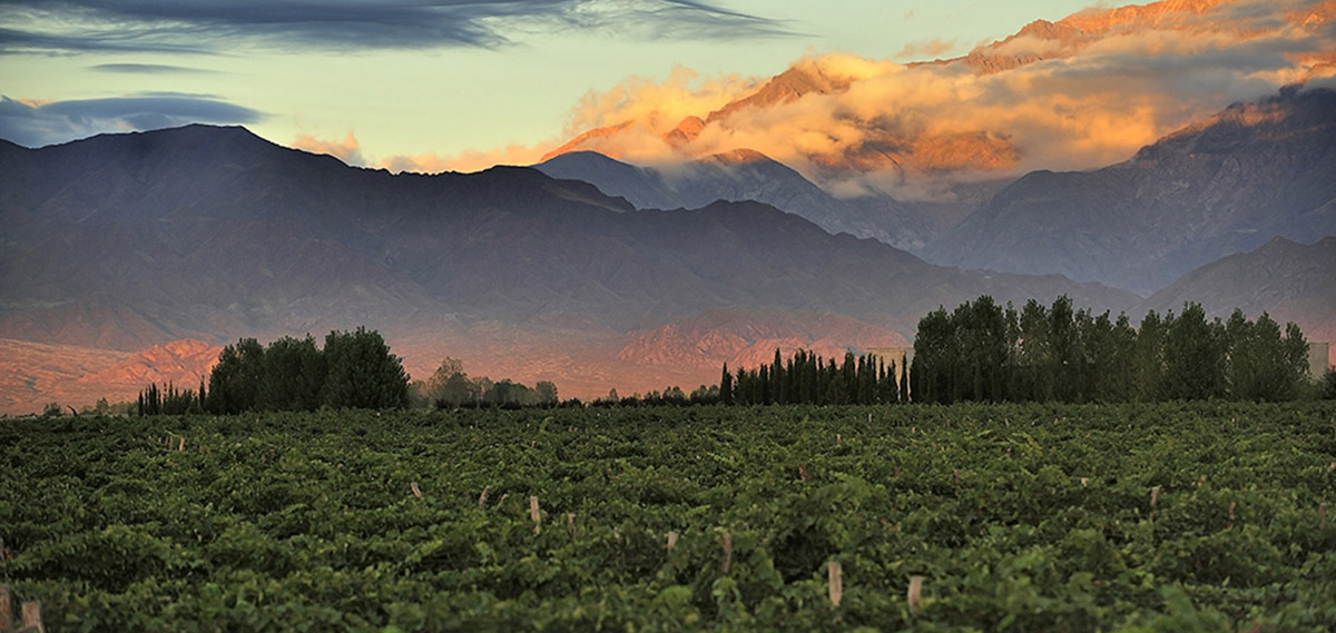 Mendoza