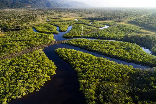 L'Amazonie