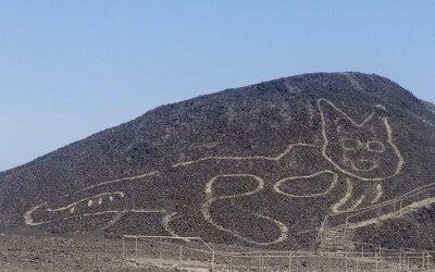 Discovery of a new geoglyph in Nazca