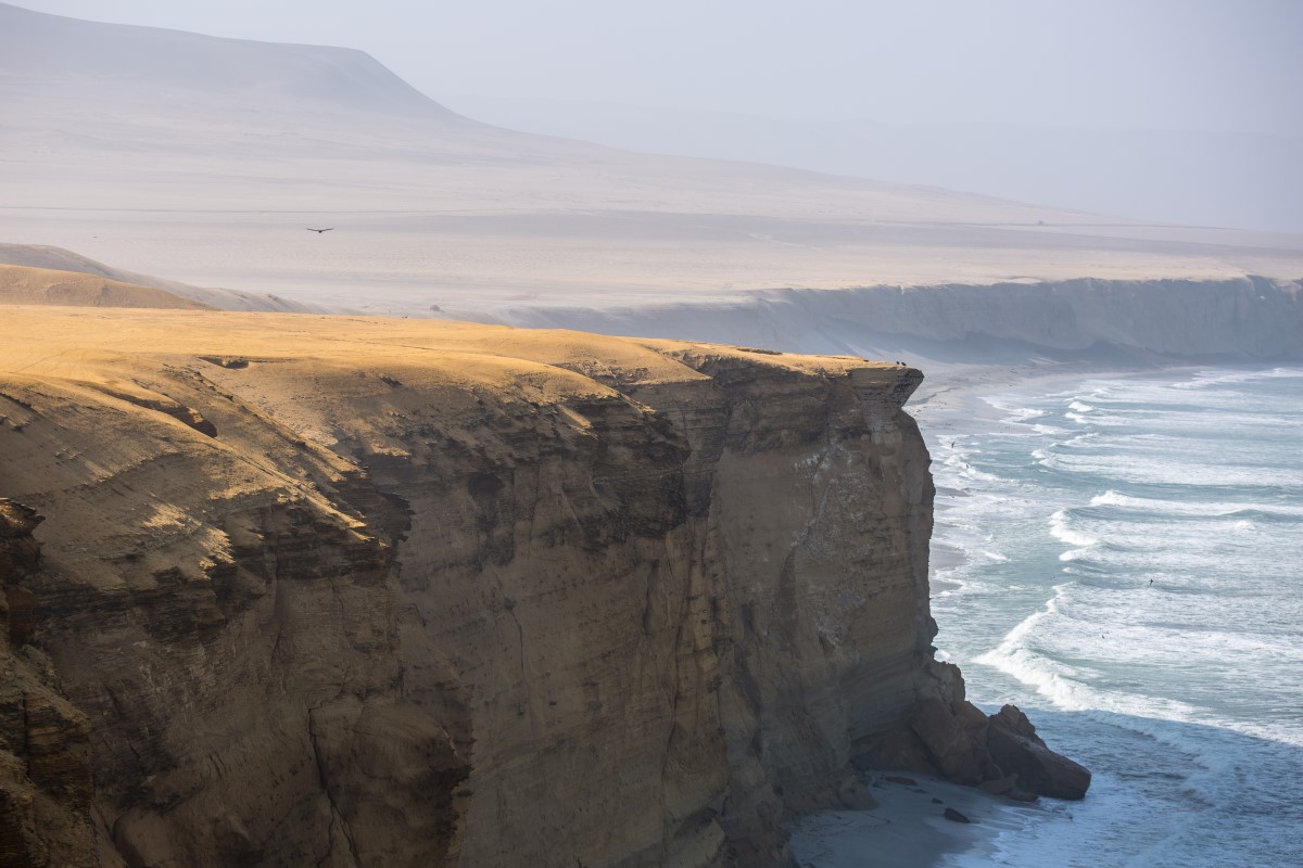 Réserve Nationale de Paracas (Crédit : Sébastien Walkowiak)