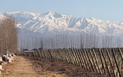 The best vineyard in the world is Argentine for the third time