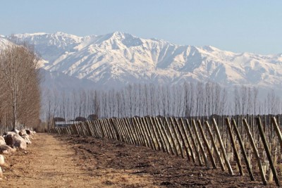 The best vineyard in the world is Argentine for the third time