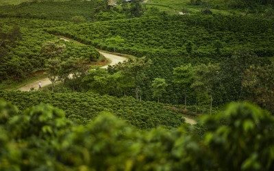 The Magic Coffee Route in the Huila region of Colombia