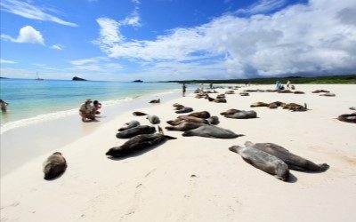 10 must-see sites in the Galapagos Islands