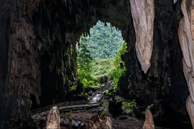 Le parc national de Tingo María au Pérou récompensé aux Green Destinations Story Awards