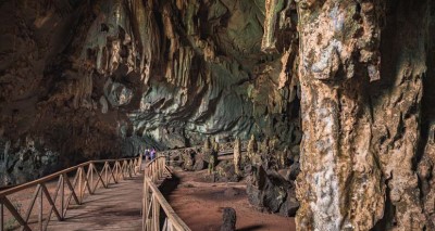 Grotte des hiboux, Parc National de Tingo María (PromPeru)