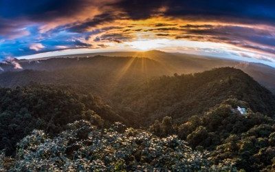 In Quito, discover the Chocó Andino nature reserve