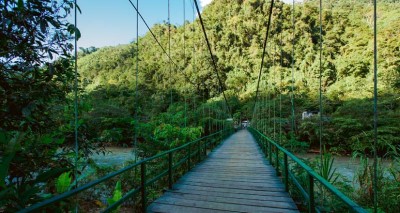 Tingo María bridge (PromPeru)