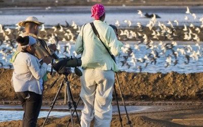 Avitourism training centre for guides to be created in Panama