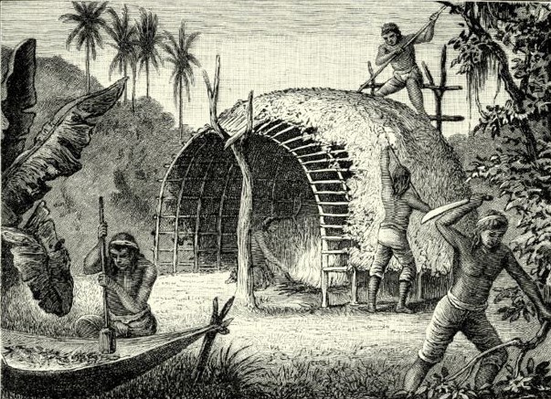 Late 18th century engraving of Paraguayan Indians harvesting and drying yerba mate.