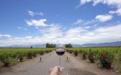 South America shines at World’s 50 Best Vineyards