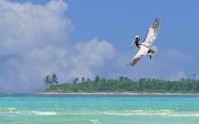 Sian Ka’an: Where the sky meets the earth in Yucatán