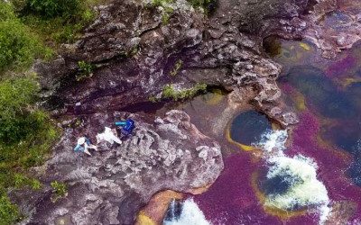 Caño Cristales: Colombia’s Symphony of Colours