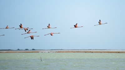 Salinas de Manaure, Guajira (Crédit : Sébastien Walkowiak)