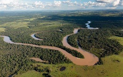 Leonardo DiCaprio applauds the creation of the new Serrania de Manacacías Nature Park in Colombia