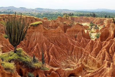 The Tatacoa Desert: an arid oasis in Colombia